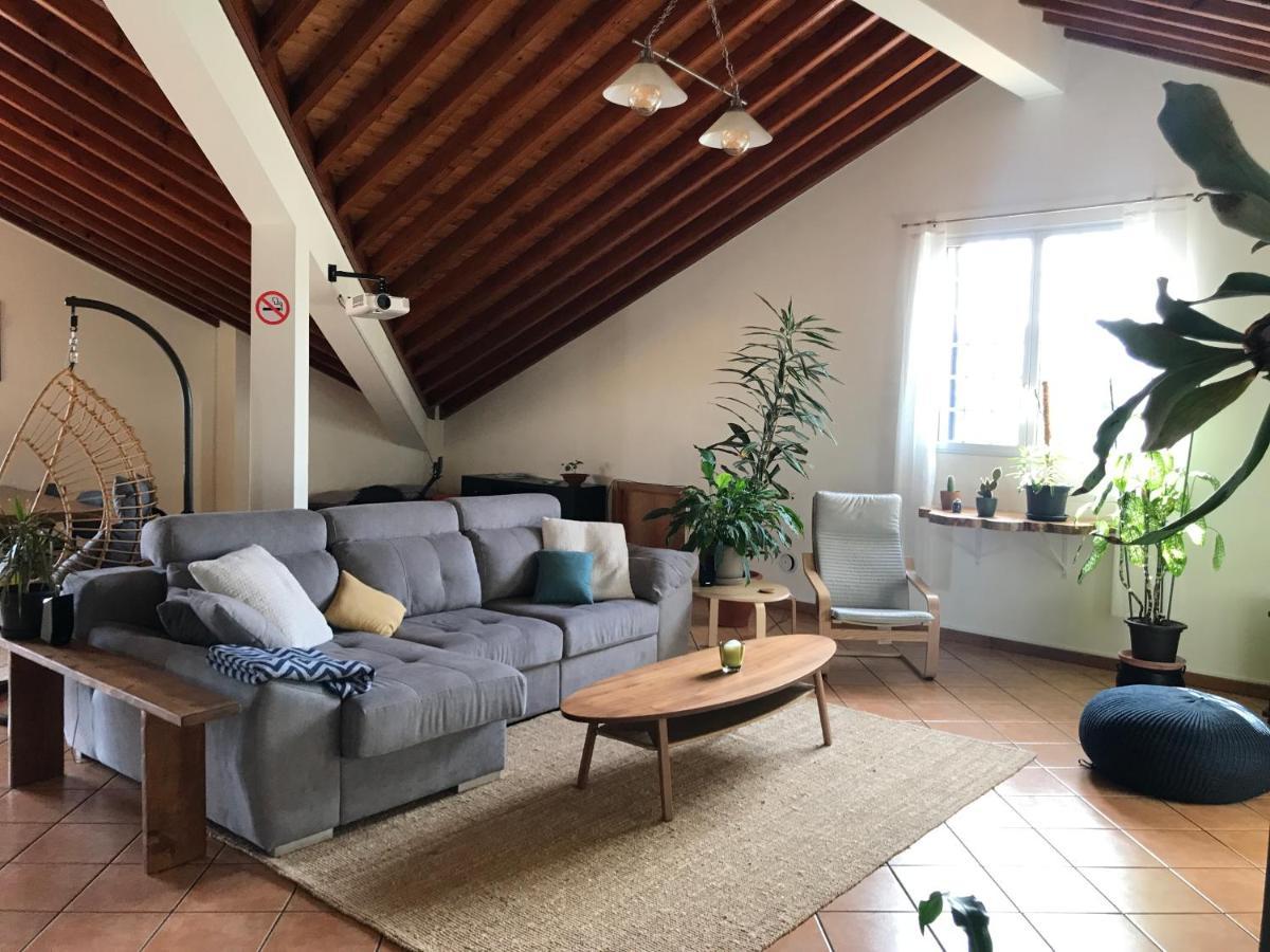 Lava Acores Coliving & Coworking Ribeira Grande Exteriér fotografie
