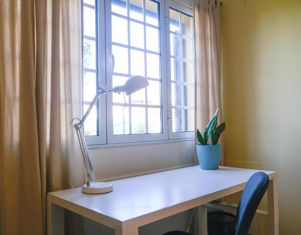 Lava Acores Coliving & Coworking Ribeira Grande Exteriér fotografie