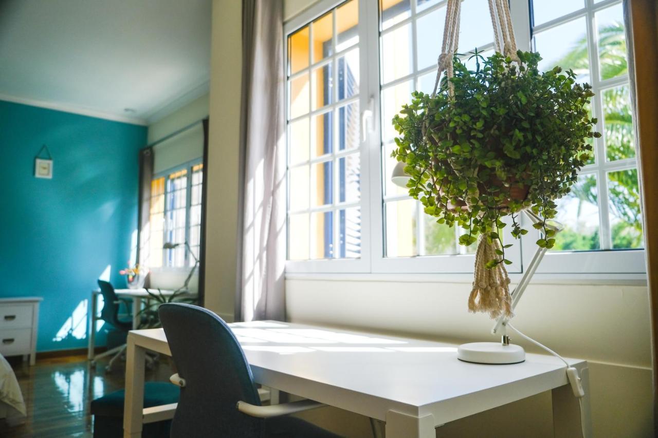 Lava Acores Coliving & Coworking Ribeira Grande Exteriér fotografie