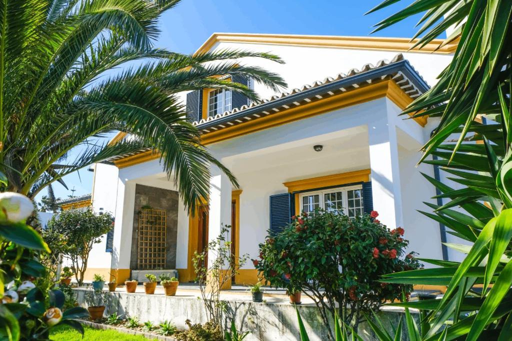 Lava Acores Coliving & Coworking Ribeira Grande Exteriér fotografie