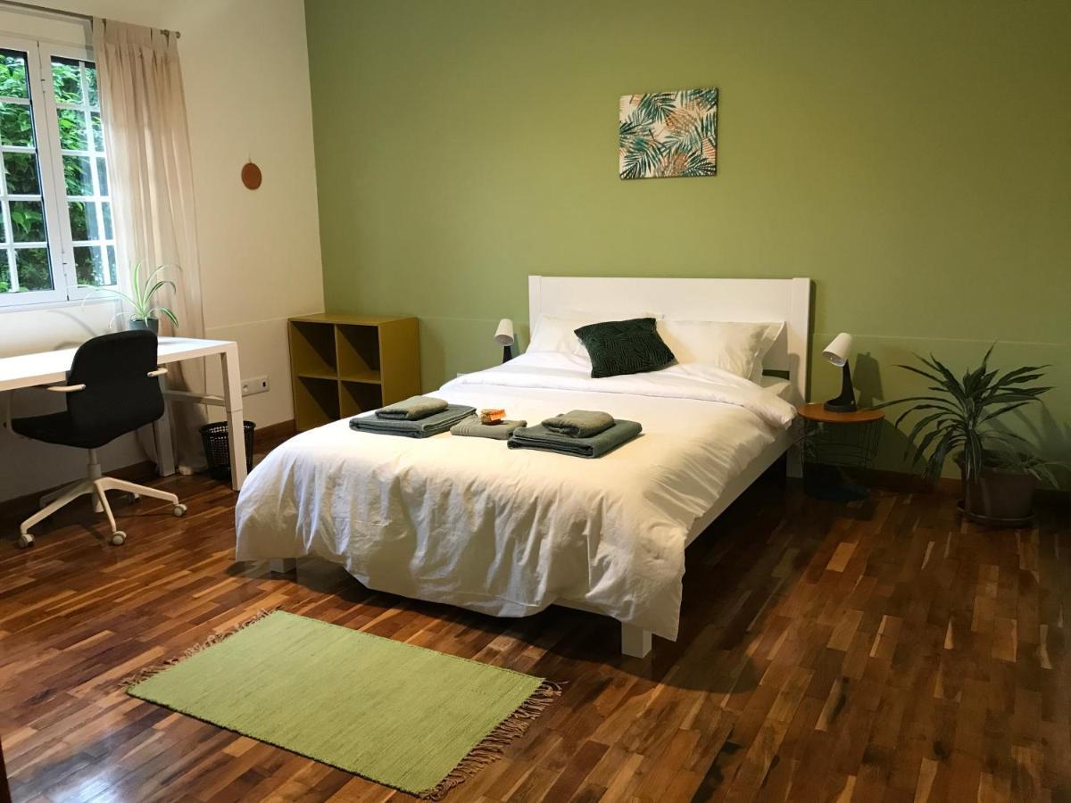 Lava Acores Coliving & Coworking Ribeira Grande Exteriér fotografie