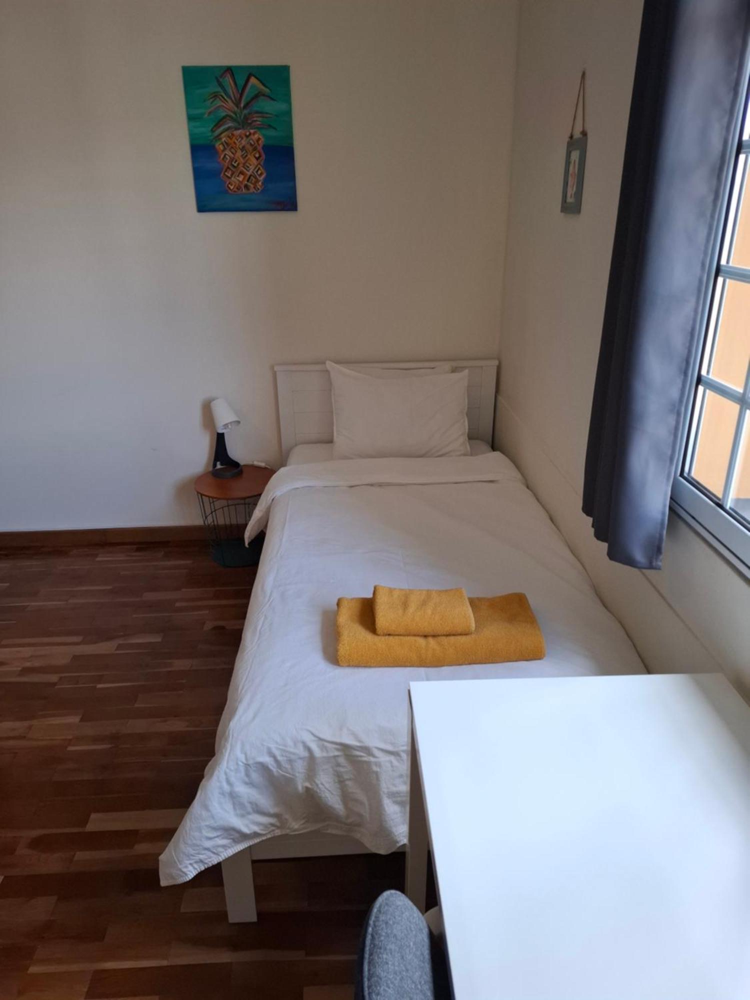 Lava Acores Coliving & Coworking Ribeira Grande Exteriér fotografie